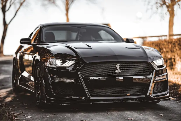 كولبلاي كازينو تطبيق أندرويد/آي أو إس